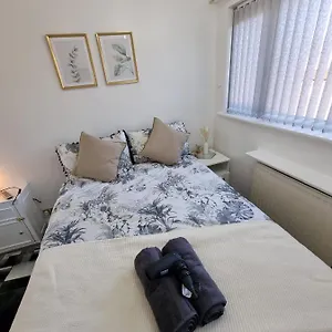 Modern & Elegant W/ Netflix And Parking Guest house